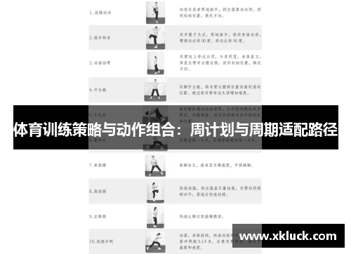 体育训练策略与动作组合：周计划与周期适配路径