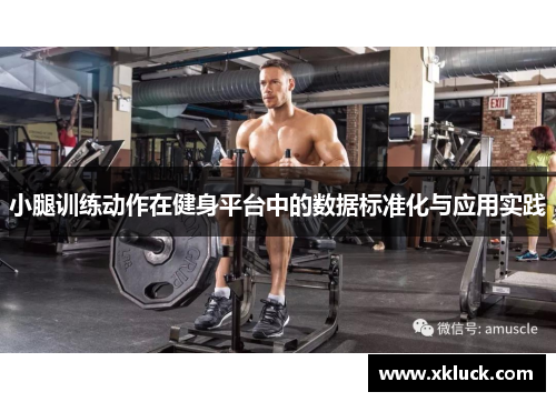 小腿训练动作在健身平台中的数据标准化与应用实践